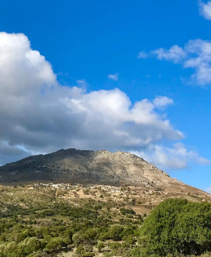 Sari Keci Tas Otel İmroz Exteriör bild