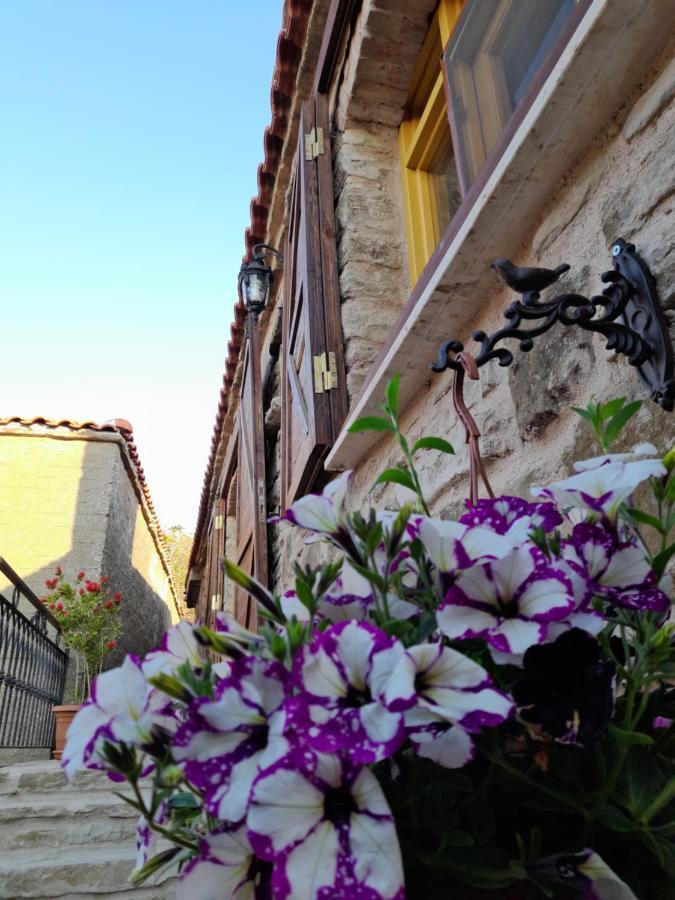 Sari Keci Tas Otel İmroz Exteriör bild